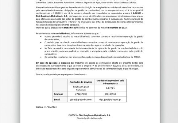 Execução de Faixa de Gestão de Combustível de 2024 a cargo da E-REDES
