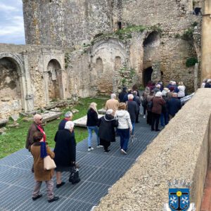 𝐏𝐫𝐨𝐠𝐫𝐚𝐦𝐚 𝐑𝐨𝐭𝐞𝐢𝐫𝐨𝐬 𝟓𝟓+ – Passeio a Palmela