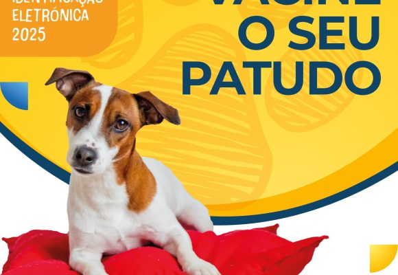 𝐎 𝐬𝐞𝐮 𝐜𝐚̃𝐨 𝐭𝐞𝐦 𝐚 𝐯𝐚𝐜𝐢𝐧𝐚𝐜̧𝐚̃𝐨 𝐞𝐦 𝐝𝐢𝐚?  🐶