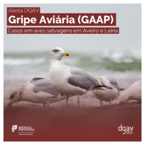 Gripe Aviária 𝐃𝐞𝐭𝐞𝐜𝐜̧𝐚̃𝐨 𝐝𝐞 𝐜𝐚𝐬𝐨𝐬 𝐝𝐞 𝐢𝐧𝐟𝐞𝐜̧𝐚̃𝐨 𝐩𝐨𝐫 𝐯𝐢́𝐫𝐮𝐬 𝐝𝐚 𝐆𝐫𝐢𝐩𝐞 𝐀𝐯𝐢𝐚́𝐫𝐢𝐚 (𝐇𝟓𝐍𝟏) 𝐞𝐦 𝐀𝐯𝐞𝐬 𝐬𝐞𝐥𝐯𝐚𝐠𝐞𝐧𝐬 | 𝐀𝐯𝐞𝐢𝐫𝐨 𝐞 𝐋𝐞𝐢𝐫𝐢𝐚