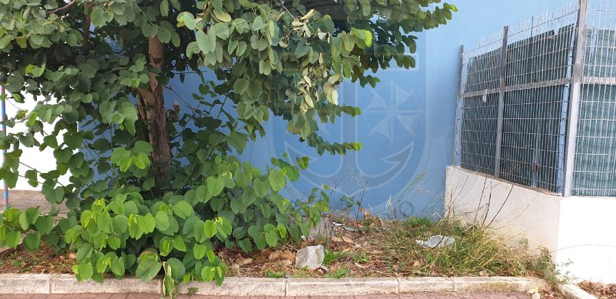 Limpeza_Urbana_Colegio_da_Fonte_5 Limpeza_Urbana_Colegio_da_Fonte_5
