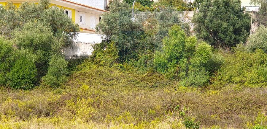 Limpeza_contra_Incendios_5 Limpeza_contra_Incendios_5
